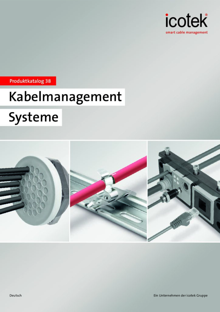 thumbnail of IC-Katalog 38